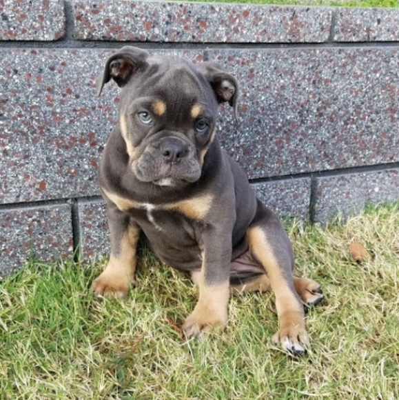 Meet your Posher, Laura - Picture 2 of 13